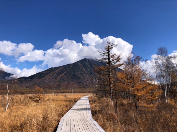 日光戦場ヶ原ハイキングと三名瀑湯滝のお手軽日帰りバスツアー2